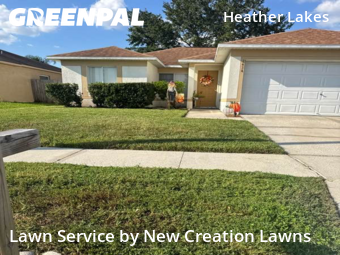 Lawn Care Servicein Brandon,33511,Lawn Service by New Creation Lawns, work completed in Oct , 2025