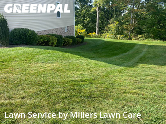 Grass Cut nearby Beaver, PA, 