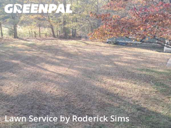 Grass Cutting nearby Winder, GA, 