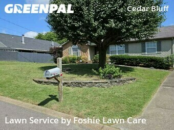 Lawn Cut nearby Nashville, TN, 