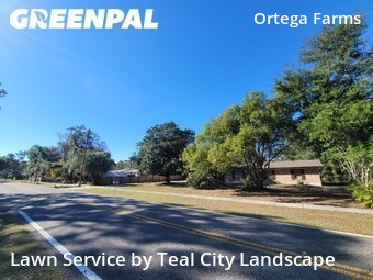 Backyard Landscaping In Jacksonville,32210,Landscaping Services by Teal City Landscape , work completed in Dec , 2025