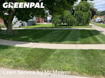 Grass Cutting nearby Eastpointe, MI, 