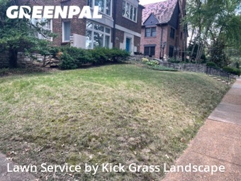 Grass Cut nearby Clayton, MO, 