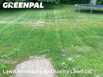 Yard Mowing nearby Saint Charles, MO, 