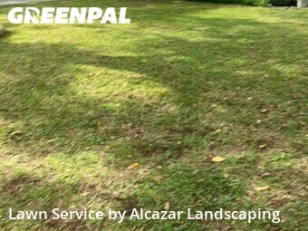 Grass Cut nearby Irving, TX, 