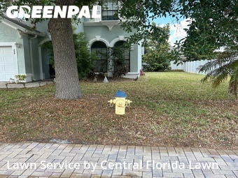 Lawn Service nearby Lake Alfred, FL, 
