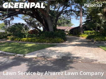 Grass Cutting nearby Orlando, FL, 