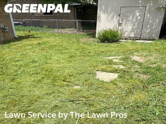 Lawn Mow nearby Longmont, CO, 