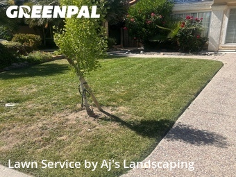 Lawn Service nearby Tracy, CA, 