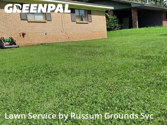 Lawn Service nearby Pearl, MS, 
