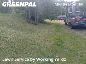 Commercial Landscaping In Seattle,98108,Landscaping by Working Yardz, work completed in Jun , 2026