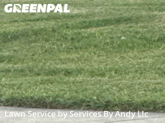 Lawn Care nearby Largo, FL, 