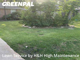 Lawn Cut nearby Seabrook, LA, 