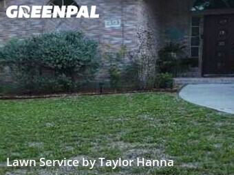 Lawn Cut nearby San Antonio, TX, 