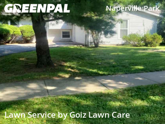 Lawn Maintenancein Naperville,60565,Lawn Cut by Goiz Lawn Care, work completed in Nov , 2025