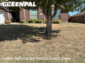 Lawn Mowing Service nearby Mansfield, TX, 