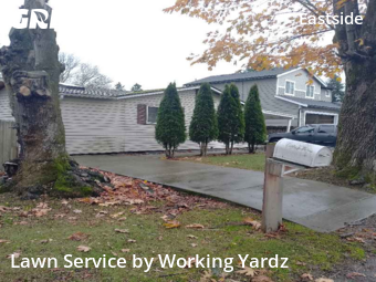 Backyard Landscaping In Tacoma,98404,Landscaping Maintenance by Working Yardz, work completed in Nov , 2025