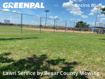Lawn Service nearby San Antonio, TX, 
