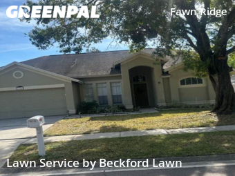 Lawn Mowing nearby Tampa, FL, 