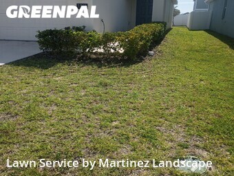 Lawn mowed in Groveland, 34736