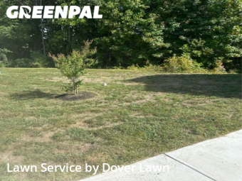 Yard Cutting nearby Dover, DE, 