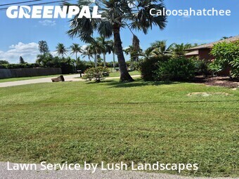 Lawn Cut nearby Cape Coral, FL, 