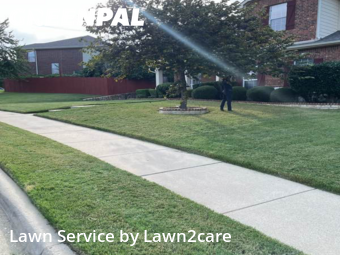 Lawn Cut nearby Denton, TX, 