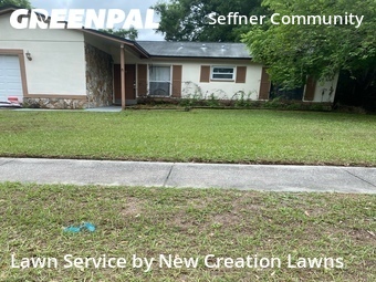 Lawn Cutting nearby Seffner, FL, 