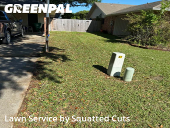 Grass Cutting nearby Lafayette, LA, 