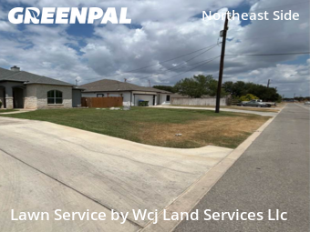 Grass Cutting in Selma, 78154, Yard Maintenance by Wcj Land Services Llc, work completed in Oct , 2025
