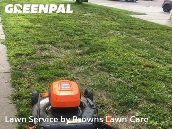 Grass Cut nearby Cheyenne, WY, 