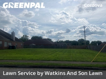 Lawn Care nearby Memphis, TN, 