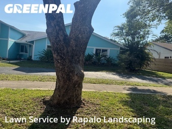 Lawn Care nearby Cooper City, FL, 