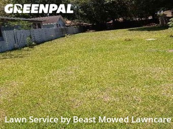 Lawn Maintenance nearby St Petersburg, FL, 
