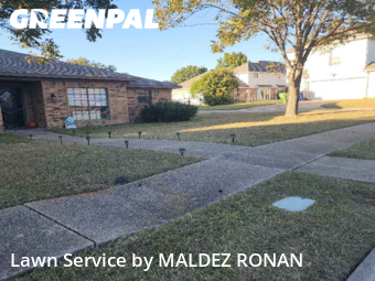 Lawn Carein Garland,75043,Lawn Maintenance by MALDEZ RONAN, work completed in Dec , 2025