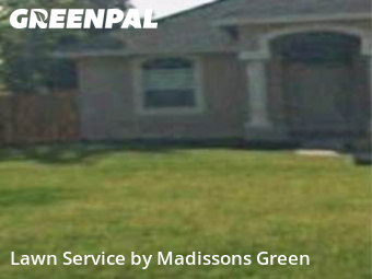 Yard Work in West Palm Beach, 33413, Garden Trimming by Madissons Green, work completed in Nov , 2025