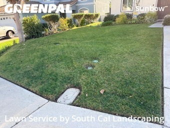 Work completed by local-lawn-maintenance-contractors-in-Chula Vista-CA