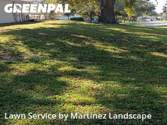 Lawn Mowin Clermont,34711,Yard Cutting by Martinez Landscape, work completed in Dec , 2025