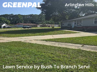 Grass Cut nearby Jacksonville, FL, 