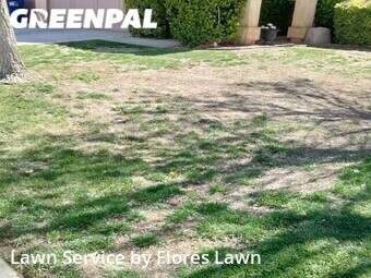 Lawn Care nearby Lancaster, CA, 