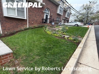 Lawn Cut nearby Arlington, VA, 