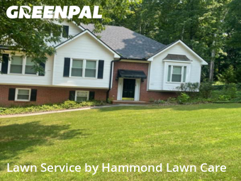 Lawn Services in Cartersville, 30120, Grass Care by Hammond Lawn Care, work completed in Nov , 2025