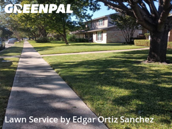 Grass Cutin Richardson,75080,Grass Cut by Edgar Ortiz Sanchez, work completed in Dec , 2025