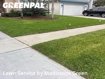 Landscaper In West Palm Beach,33411,Landscape Design by Madissons Green, work completed in Jun , 2026