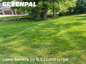 Lawn Cut nearby Kalamazoo, MI, 