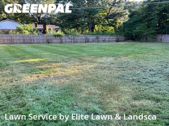 Lawn Care nearby Olive Branch, MS, 