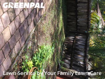 Lawn Mowing Service nearby Winter Springs, FL, 