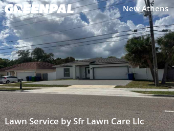 Grass Cuttingin Dunedin,34698,Lawn Cut by Sfr Lawn Care Llc, work completed in Feb , 2026
