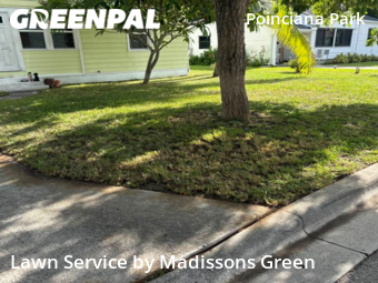 Grass Cutting nearby West Palm Beach, FL, 