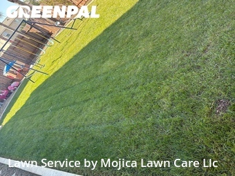 Work completed by yard-maintenance-professionals-in-Elk Grove-CA